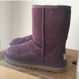 Short classic purple Uggs